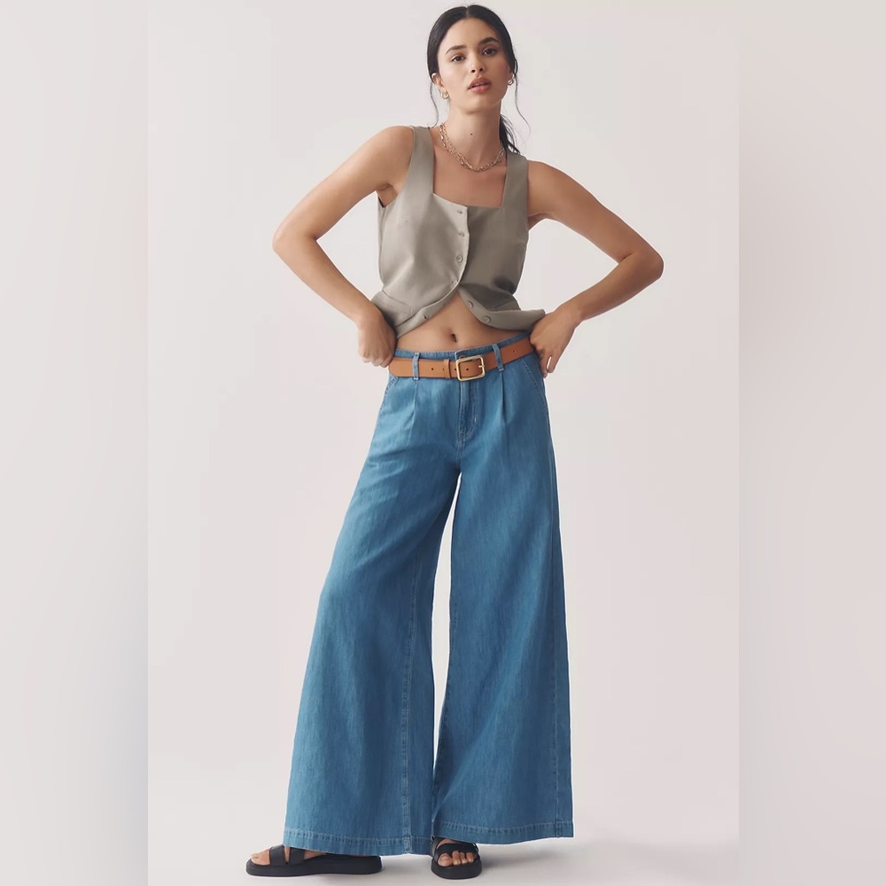 Agolde Melissa High Rise Palazzo Jeans 26